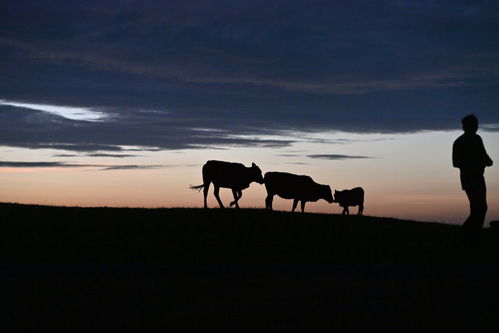 文化中國(guó)行 傳統(tǒng)村落人文影像志丨堯告村 云端古寨寄鄉(xiāng)愁