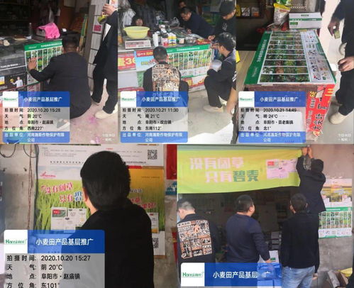 精準(zhǔn)破解麥田除草難，瀚斯專業(yè)方案阜陽獲盛贊